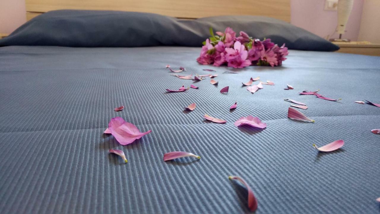 Residence Bidreams Zambrone Dış mekan fotoğraf